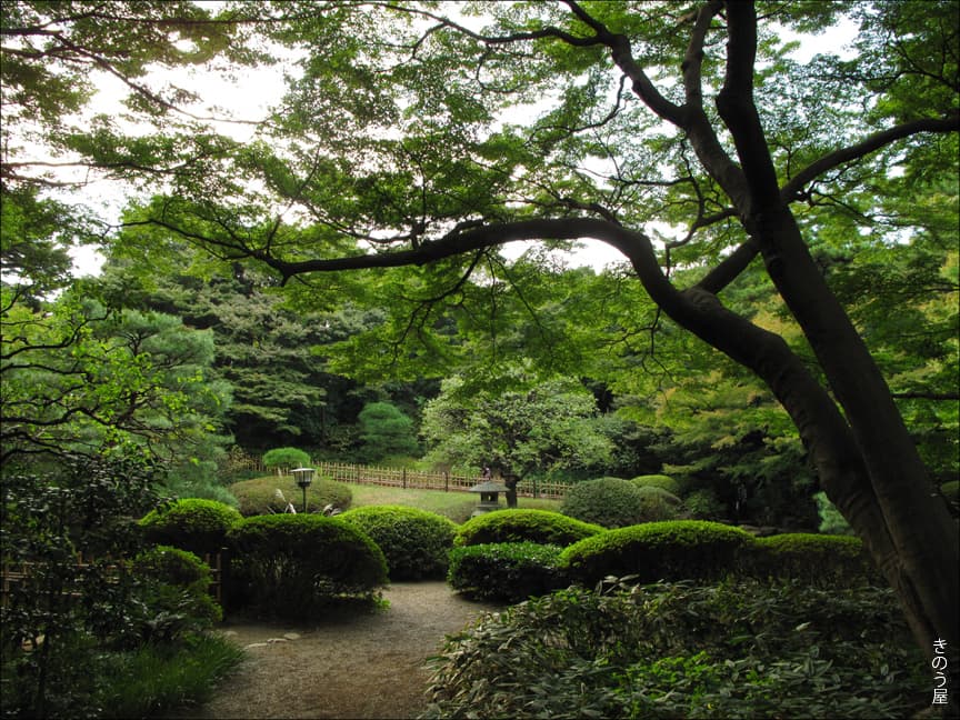 Teien (Garden)