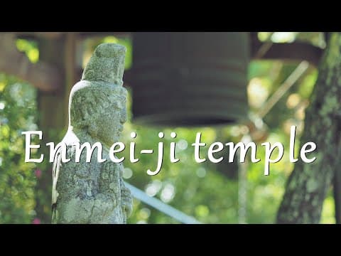 Ver vídeo