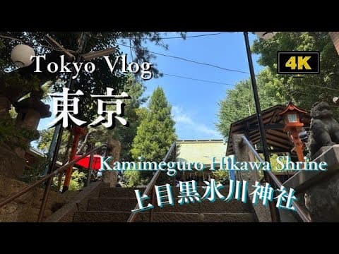 观看视频