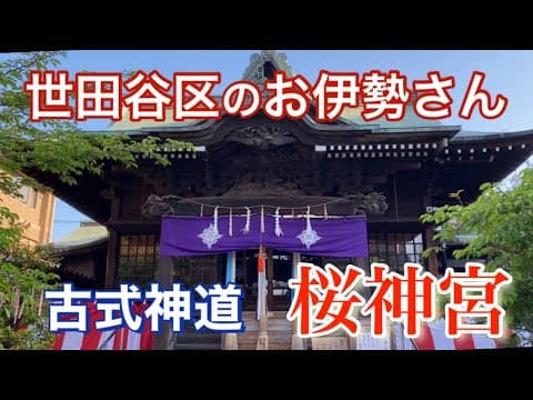 观看视频