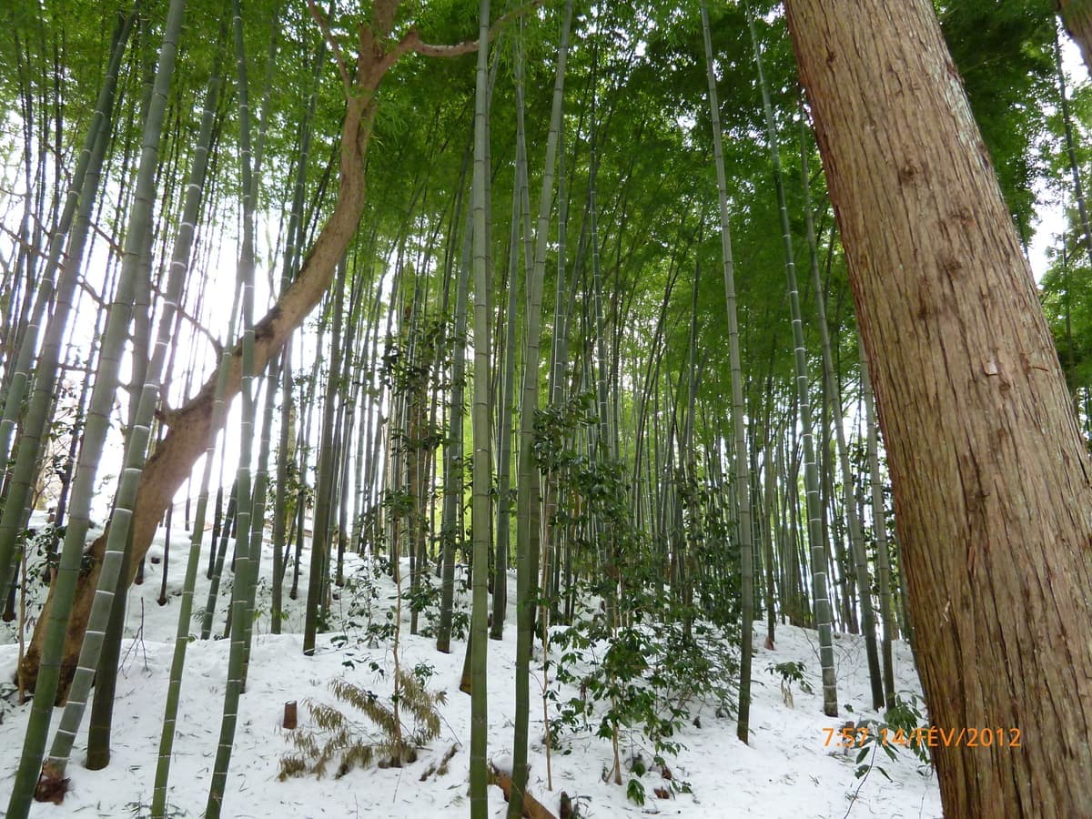 Hiraizumi
