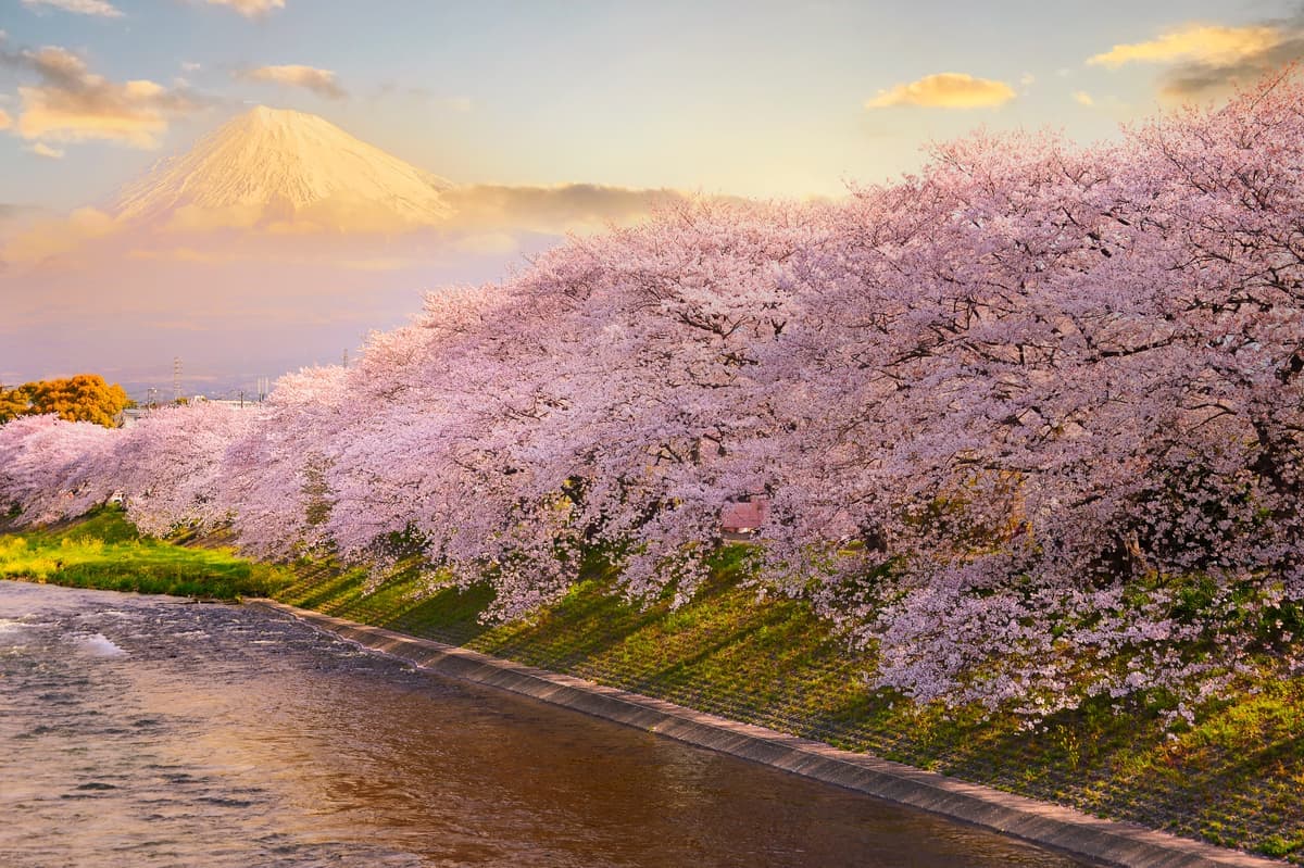 Best Time to Visit Japan