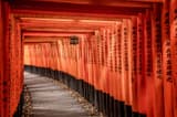 Senbon Torii
