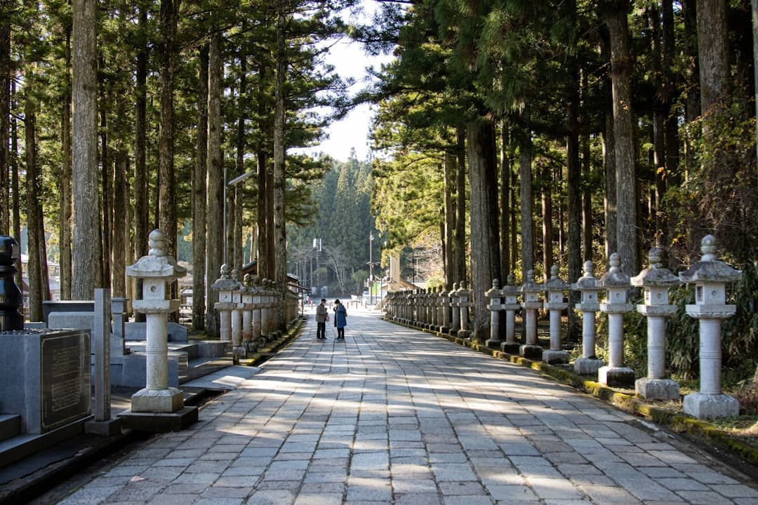 Koya