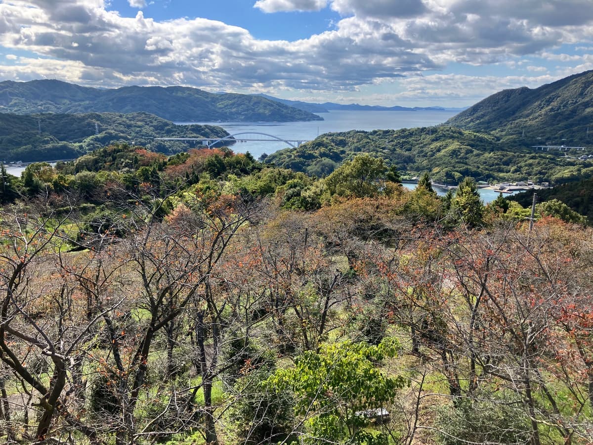 Imabari
