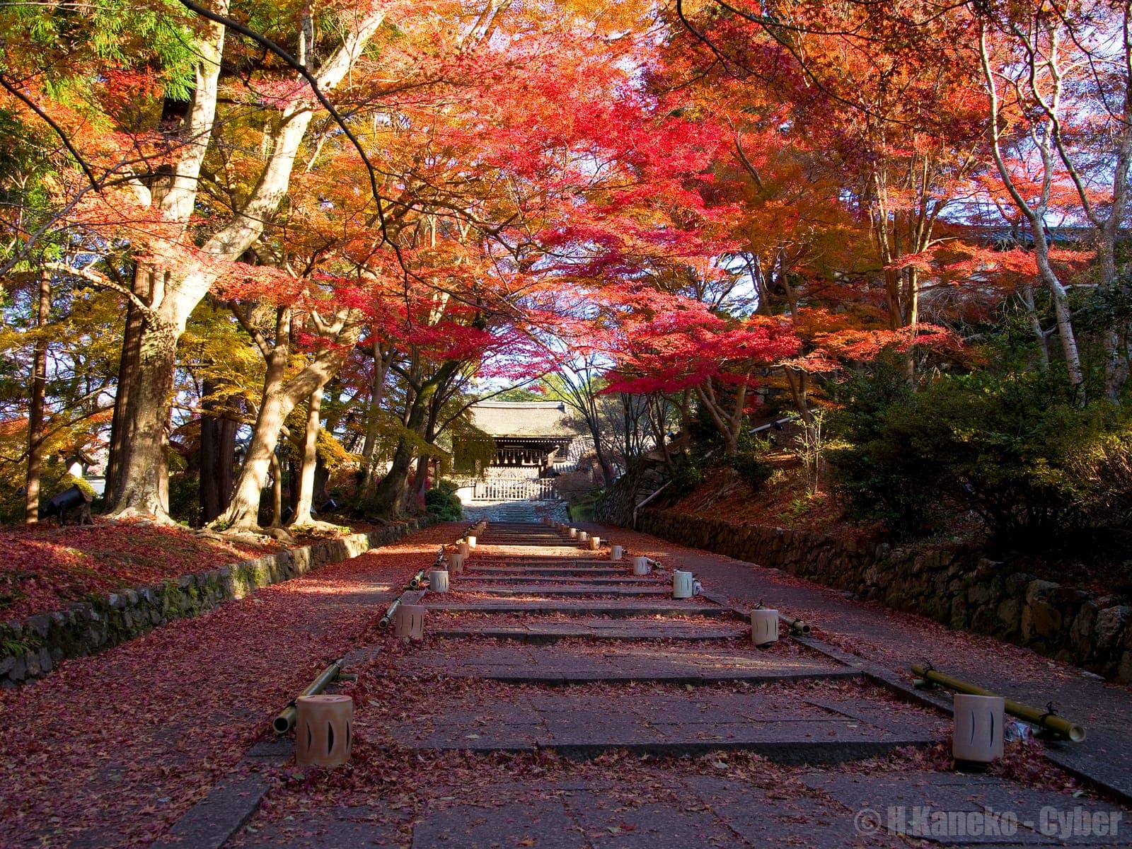 Arrondissement de Yamashina