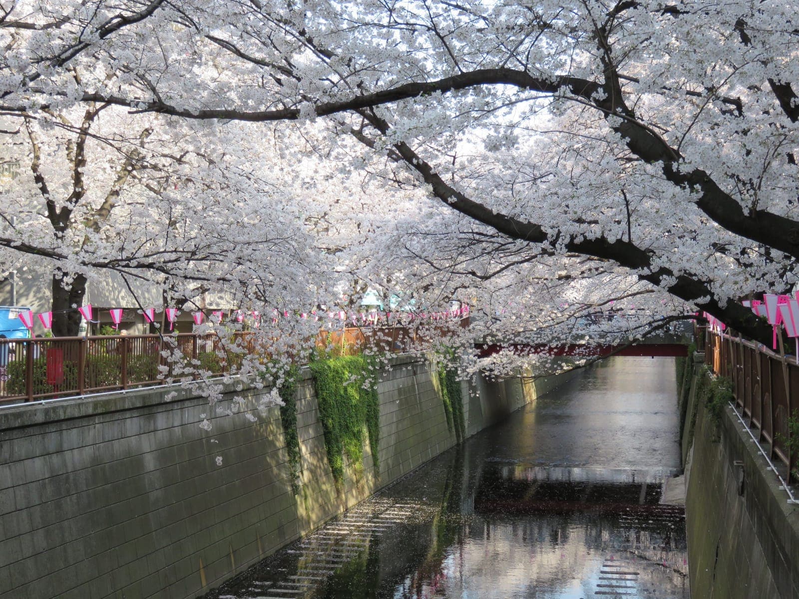 Distretto di Meguro