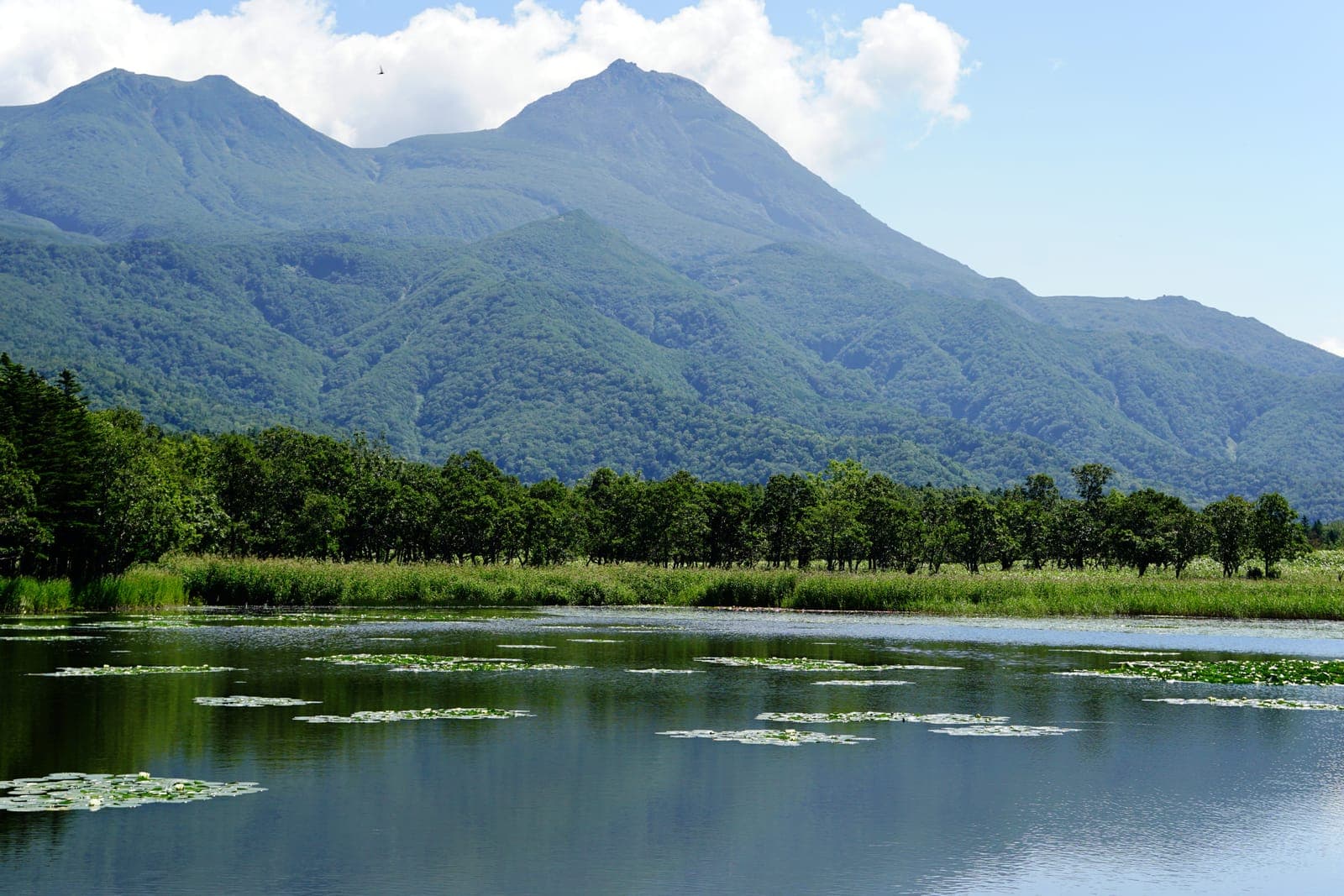 Hokkaido Prefecture
