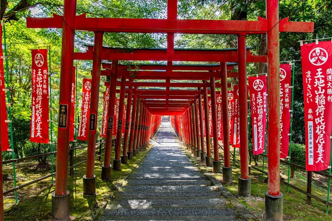 Prefectura de Hyogo