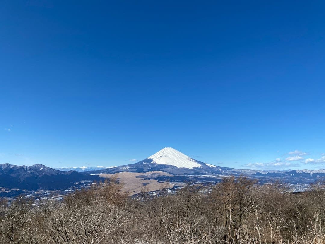 Prefectura de Kanagawa
