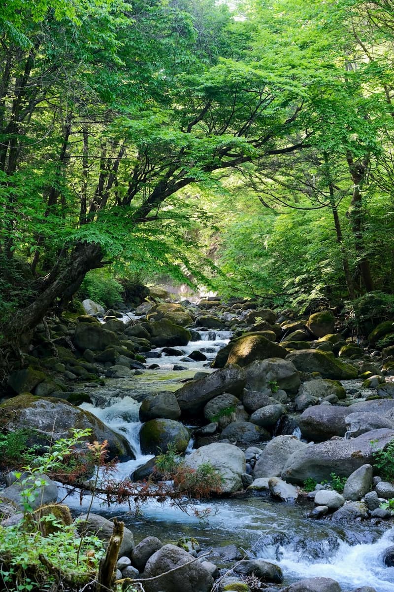 Prefectura de Tochigi