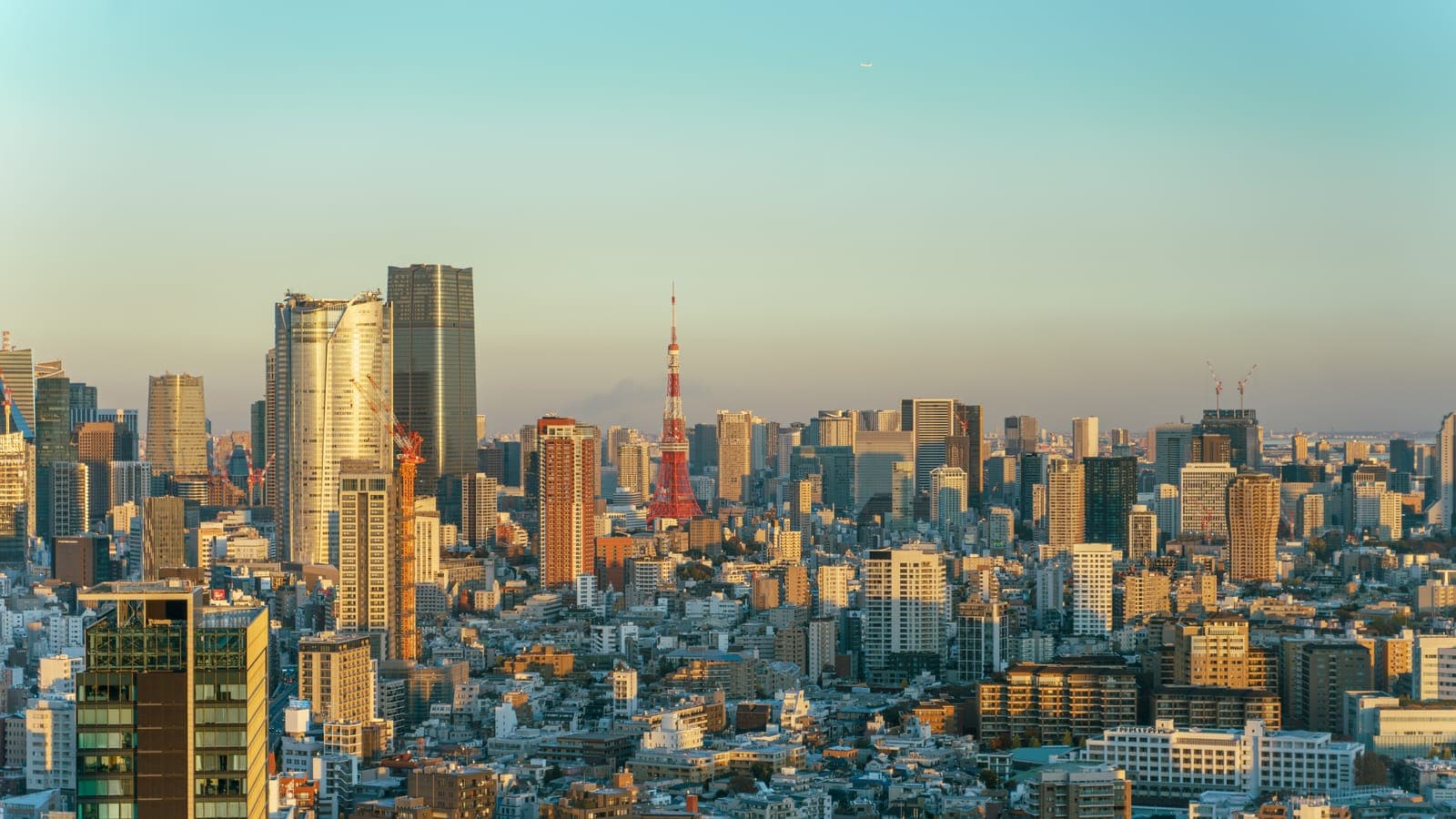 Prefectura de Tokyo