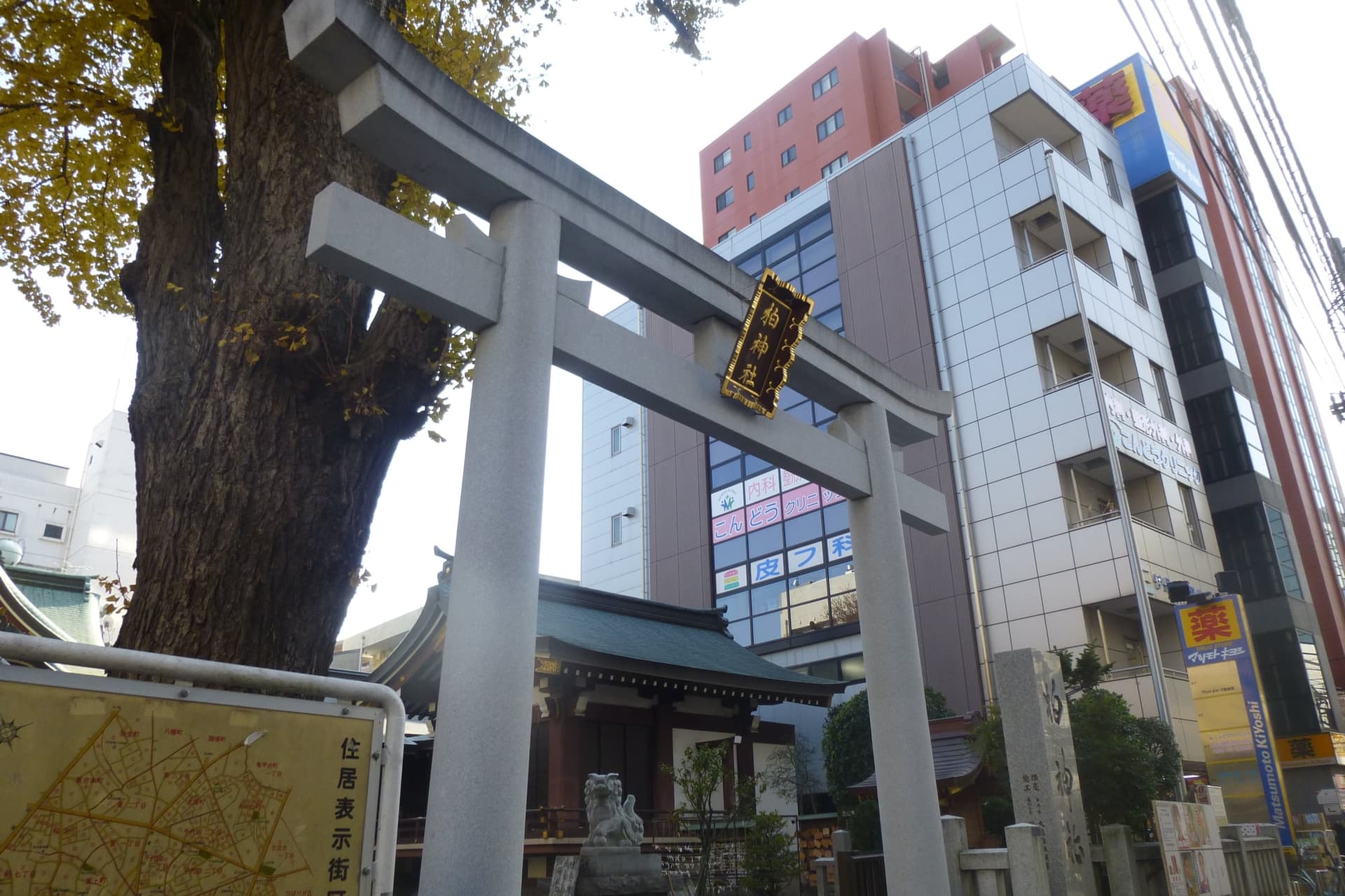 Kashiwa Jinja
