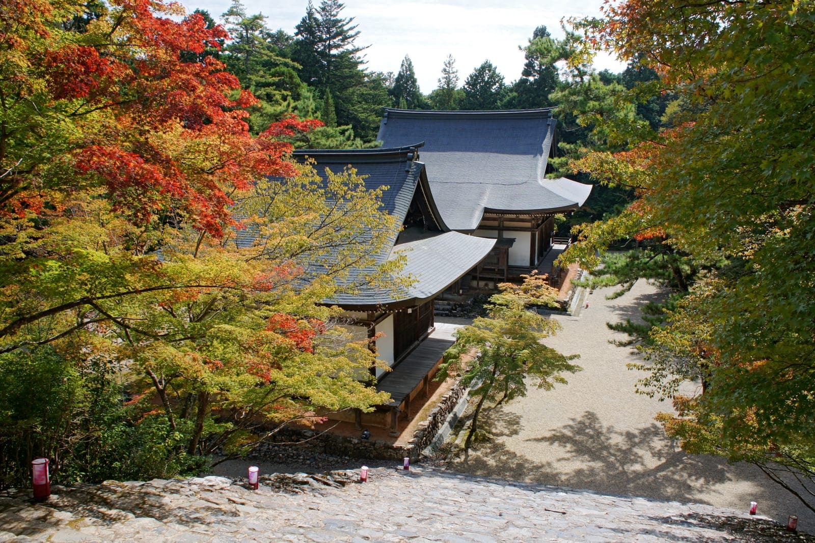 Edificios del templo Jingo-ji Kyoto con techos oscuros curvos, vistos entre arces otoñales de colores.