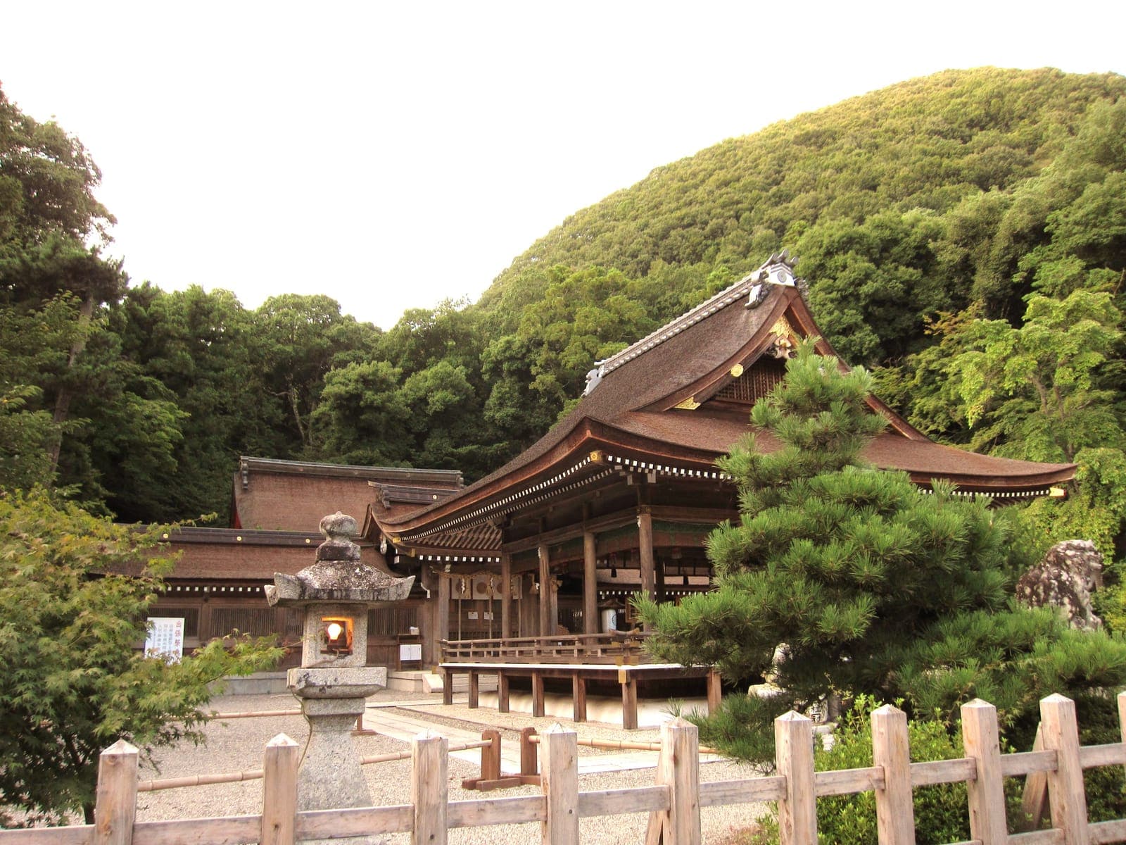 Bâtiment du sanctuaire Izumo Daijingu avec toit de chaume courbé, lanterne en pierre et clôture en bois, devant une colline boisée.