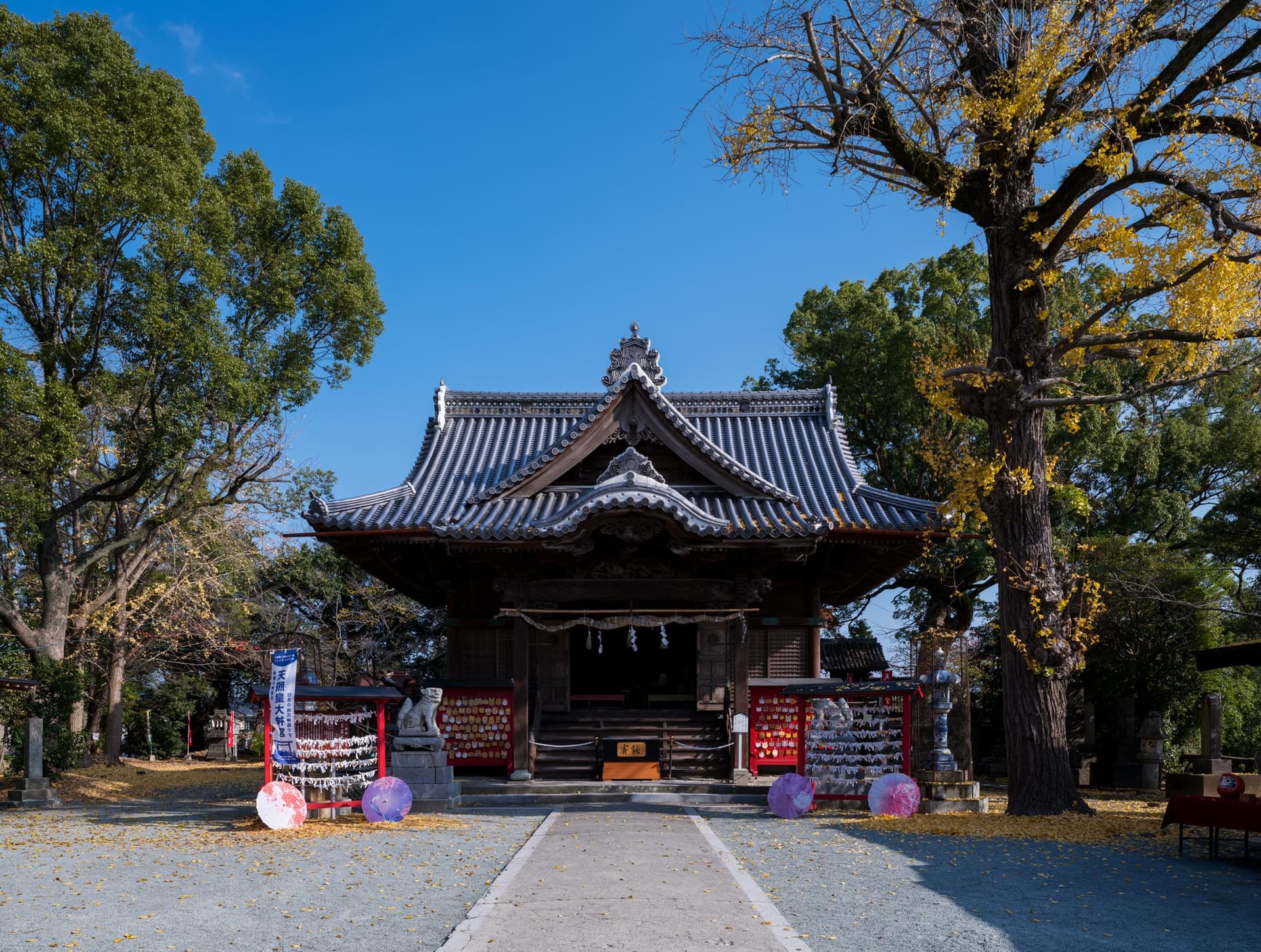 Pet Shichi-Go-San Prayer and Photo Session at Fukushima Hachimangu