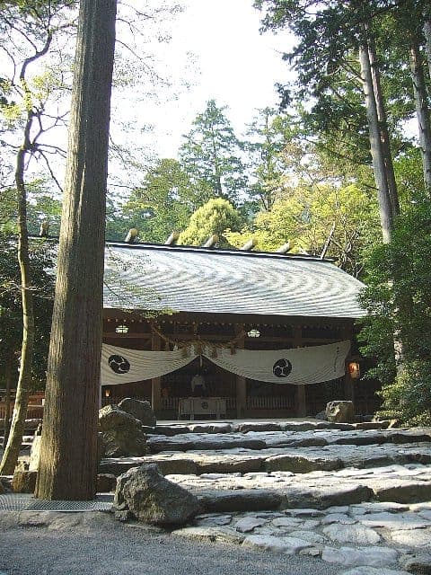 椿大神社の社殿外観。傾斜した屋根、石段、周囲の木々が見える。