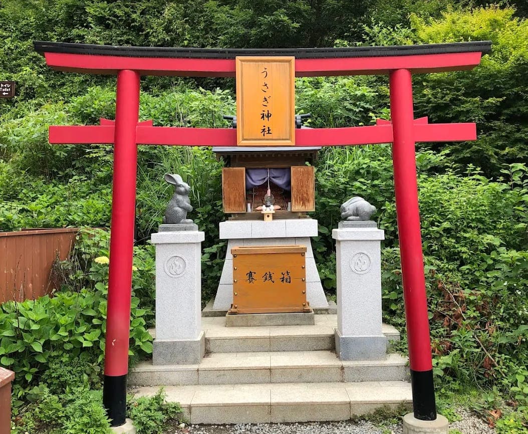 Usagi