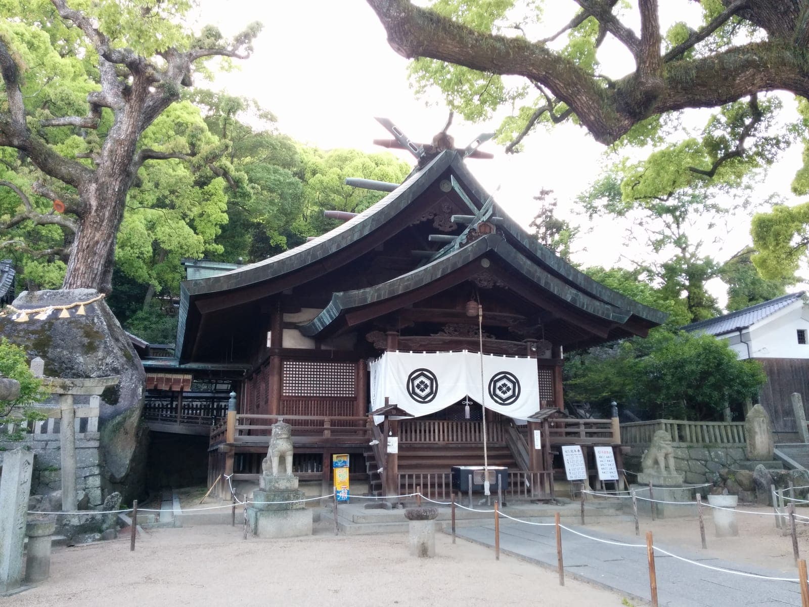 Onomichi Ushitora Shrine beneath camphor trees, with a curved roof, white crest curtains and stone guardian figures.