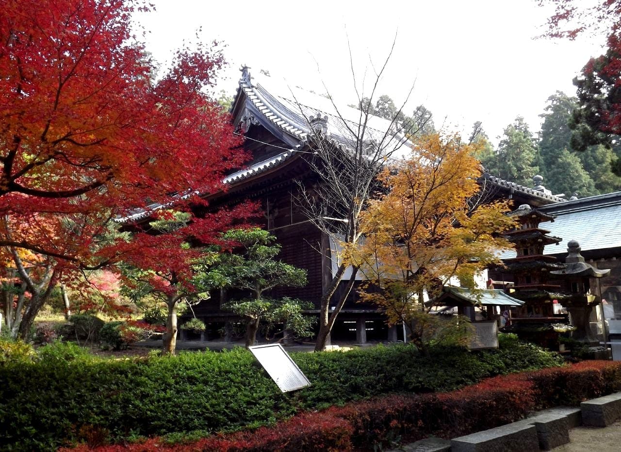 Esterno del tempio Shiromine-ji con sala in legno scuro, lanterne di pietra e foglie autunnali rosse e gialle.