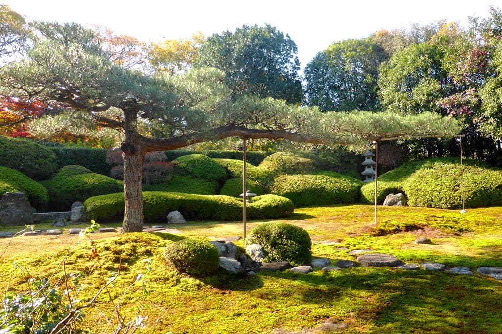 Tea Ceremony During the 2026 Autumn Special Admission at Ikka-in