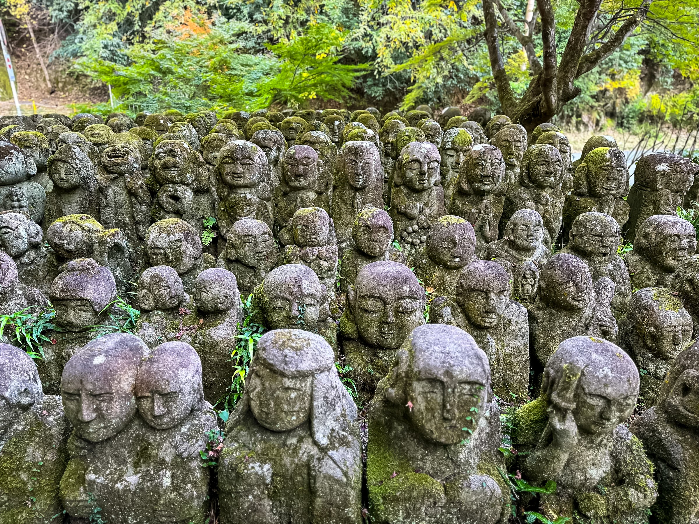 Gods & Deities of Japan