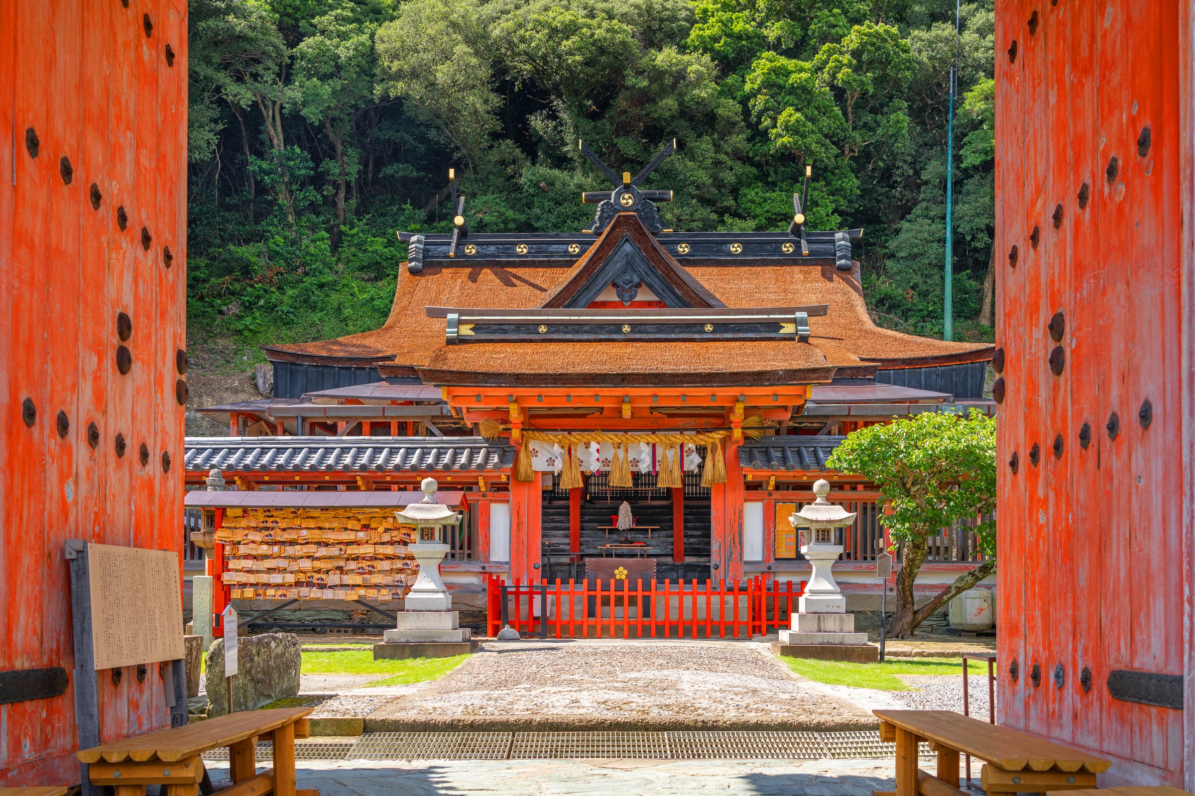 A Shinto shrine approach with a torii gate